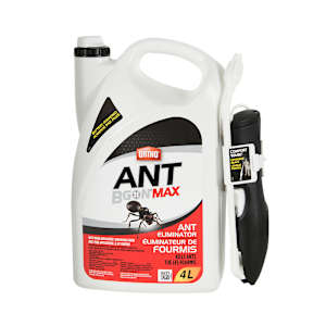 Éliminateur de fourmis Ant B Gon Max 4 L