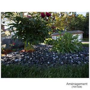 1/4 in. - 3/4 in. Blue & White Decorative Stone 20 kg