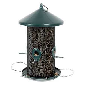 Bird Feeder 12 1/4 in.