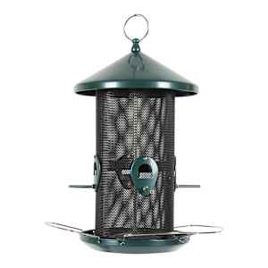 Mangeoire pour oiseaux 12 1/4 po