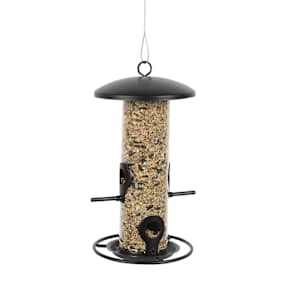 Mangeoire pour oiseaux 10 po