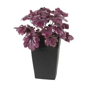 Mélodie Flower Pot 12 1/4 in.
