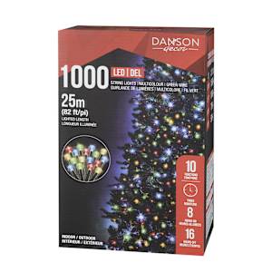 Jeu de 1 000 lumières DEL Multicolore