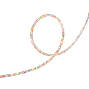 Flexible Rope Light 12 ft. Multicolour
