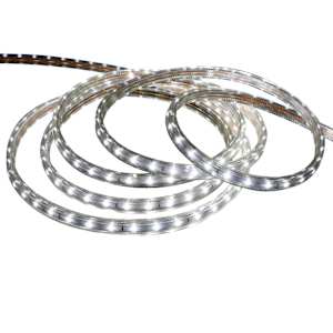 Ruban lumineux 16 pi 5 po blanc froid