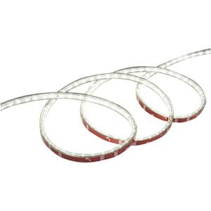 Ruban lumineux 16 pi 5 po blanc froid