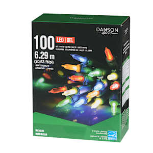 Jeu de 100 lumières DEL M5 multicolore