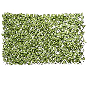 VERTUO Pothos Extensible Foliage Lattice 39 in. x 79 in.