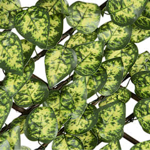 VERTUO Pothos Extensible Foliage Lattice 39 in. x 79 in.