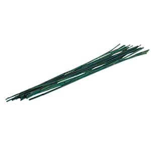 Bamboo Stakes 24 in. Pkg/20