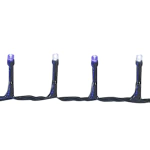 500 LED Lights Set Blue and Pure White