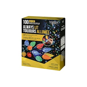 Jeu de 100 lumières DEL C6 Multicolores