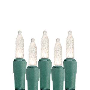 100 LED Lights Set M5 Warm White