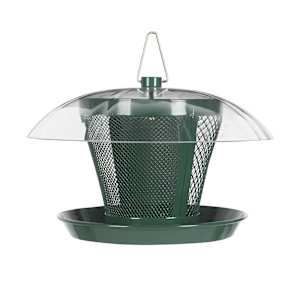 Dome Bird Feeder  7 1/2 in.