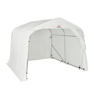 Abri utilitaire 10 pi x 10 pi