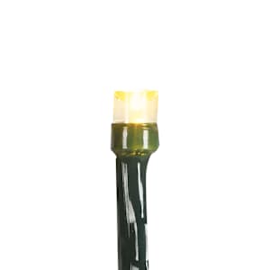 100 LED Lights Set Warm White