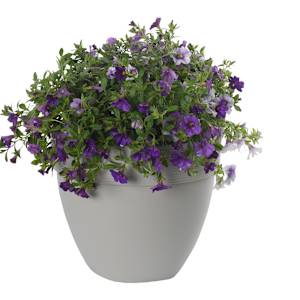 Pot à fleurs Ovo 12 1/8 po VERTUO