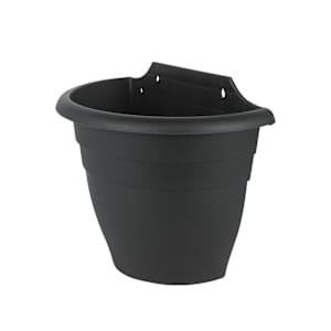 VERTUO Cono Wall Flower Pot 12 3/8 in.