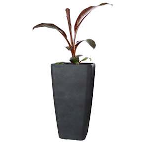 VERTUO Contempo Tall Light Planter 11 3/4 in.
