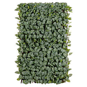VERTUO Extensible Foliage Lattice Fittonia 39 in. x 79 in.