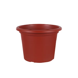 Cilindro Flower Pot 7 7/8 in.