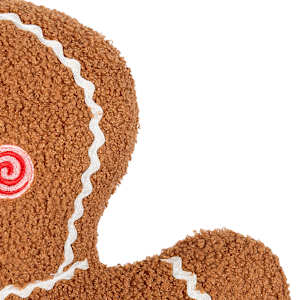Coussin biscuit pain d'épices 13 3/8 po x 18 7/8 po VERTUO