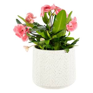 VERTUO Pot Cover 6 7/8 in. Off White