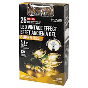 Jeu de 25 lumières DEL C9 blanc chaud