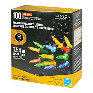 Jeu de 100 lumières DEL M5 multicolore