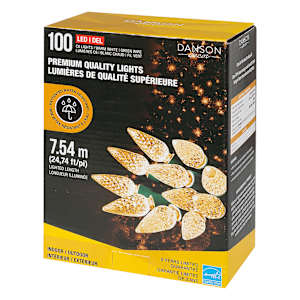 100 LED Lights Set C6 Warm white