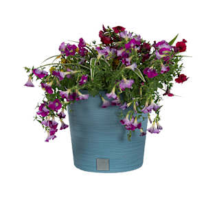 Furu Flower Pot 11 3/4 in.