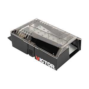 Catch & Hold Mouse Trap