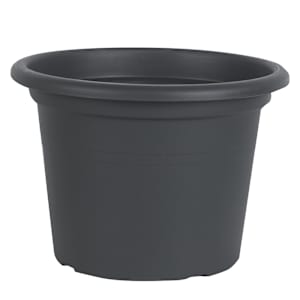 Cilindro Flower Pot 13 3/4 in.