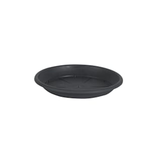 Cilindro Saucer 8 5/8 in.