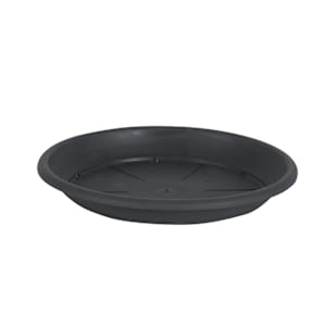 Soucoupe pour pot à fleurs Cilindro 11 3/4 po