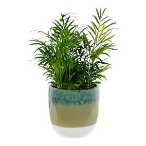 VERTUO Pot Cover 5 7/8 in.