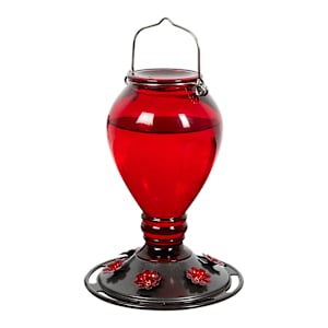 Glass Hummingbird Feeder 24 oz