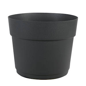 Bloom Flower Pot 11 1/2 in.