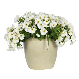 Pot à fleurs léger Gisèle 13 1/4 po VERTUO