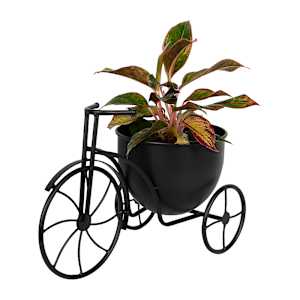 VERTUO Bicycle Support and Pot Cover 8 5/8 in.