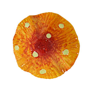 Pic décoratif Champignon 17 3/4 po VERTUO