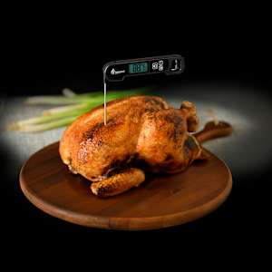 Thermomètre de cuisson numérique