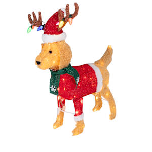 Chien illuminé 28 3/8 po VERTUO