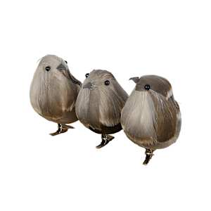 Oiseaux bruns à pince Pqt/3 VERTUO