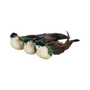 Oiseaux verts et naturels à pince Pqt/3 VERTUO