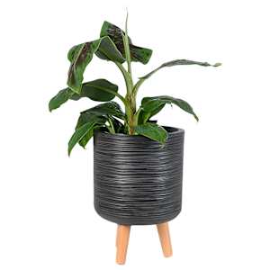 Cache-pot sur pieds noir antique 9 1/2 po VERTUO