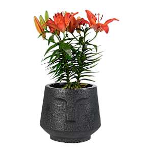 VERTUO Face Pot Cover 9 1/2 in. Black