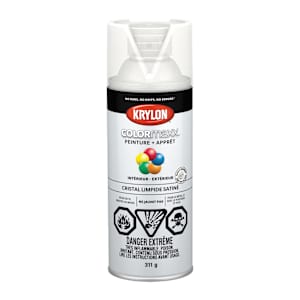 Colormaxx Clear Satin Finish Protector 311 g