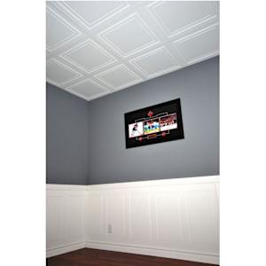 Polo Ceiling Tiles 2 ft x 4 ft Pkg/4