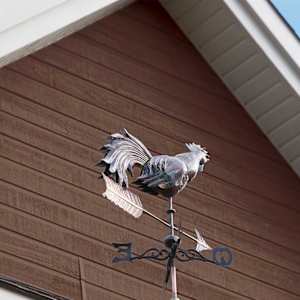 Canexel Barista Outdoor Siding Ridgewood D-5 12 in. x 12 ft.